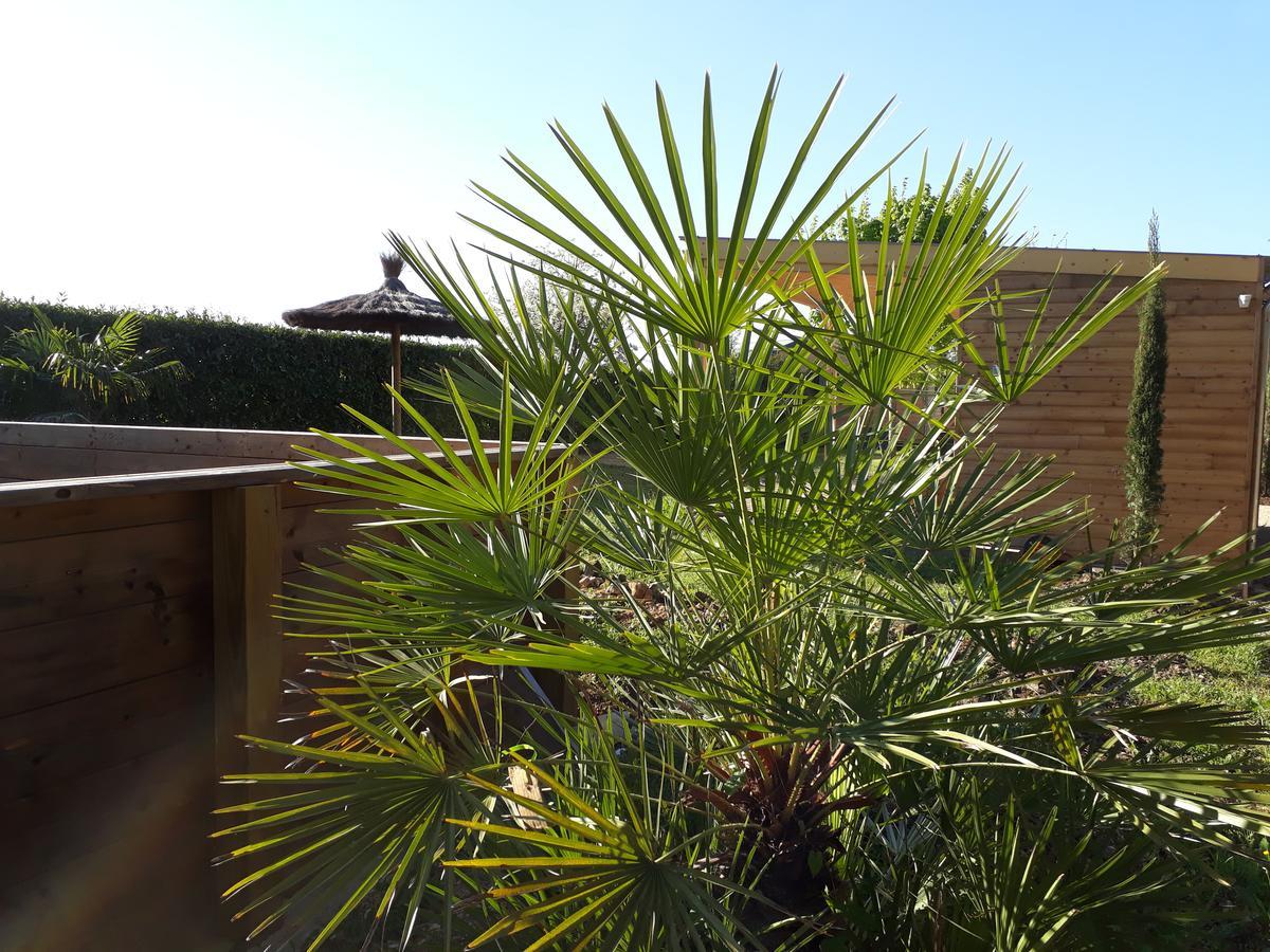 Les Pilotis Du Cognac Villa Bourg-Charente Ngoại thất bức ảnh